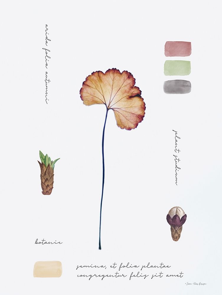 Botanical Notes art print by Seven Trees Design for $57.95 CAD