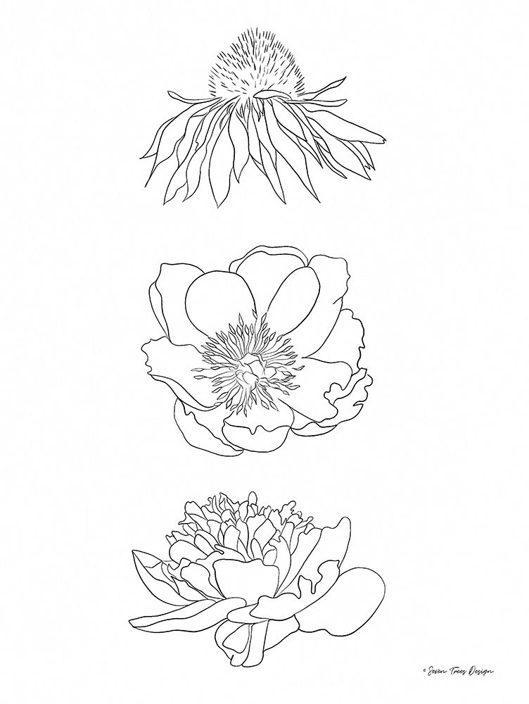 Hand Drawn Flowers art print by Seven Trees Design for $57.95 CAD
