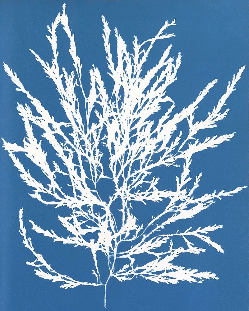 Blue Botanical I art print by Seven Trees Design for $57.95 CAD