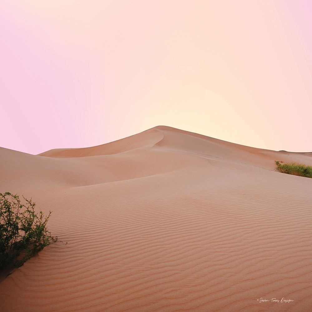 The Calm Dune art print by Seven Trees Design for $57.95 CAD