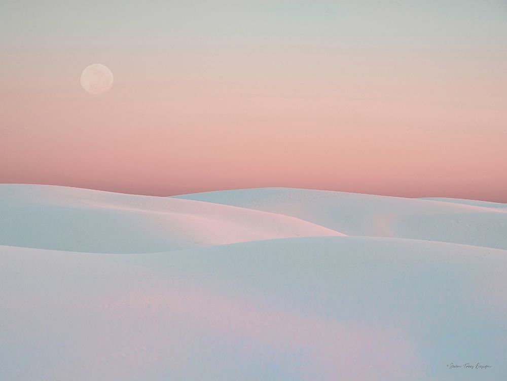 Moon and Dunes art print by Seven Trees Design for $57.95 CAD