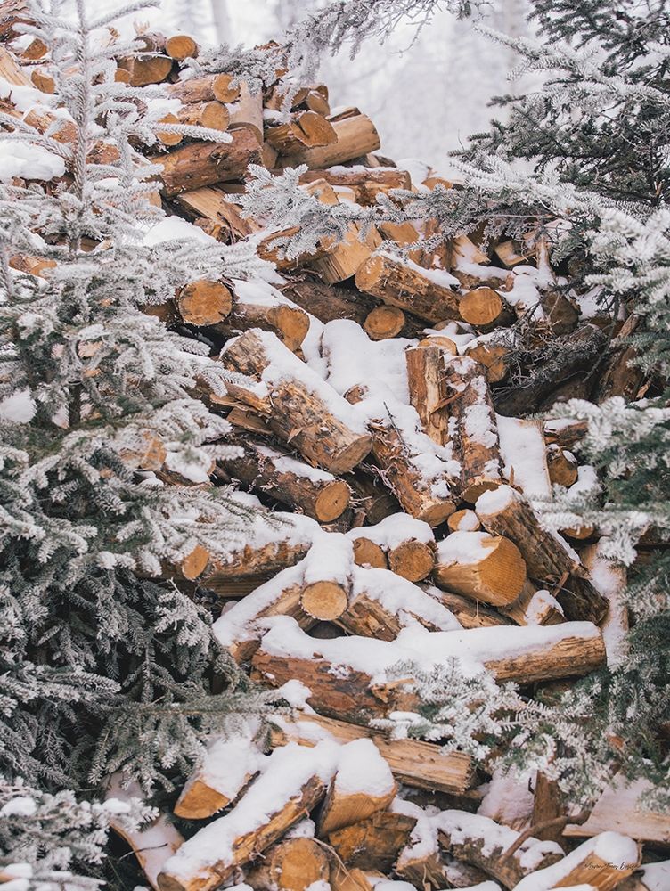 Winter Wood Pile    art print by Seven Trees Design for $57.95 CAD