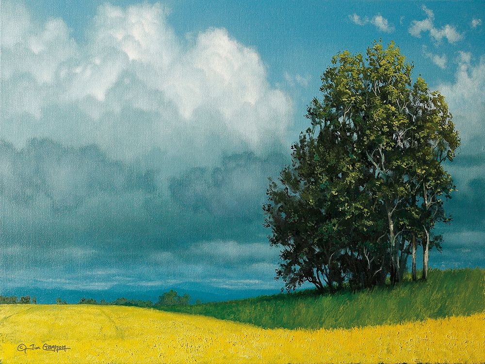 Canola Field art print by Tim Gagnon for $57.95 CAD