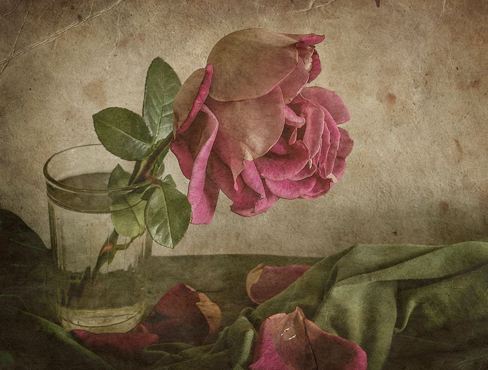 Tear Of Rose art print by Igor Tokarev for $57.95 CAD