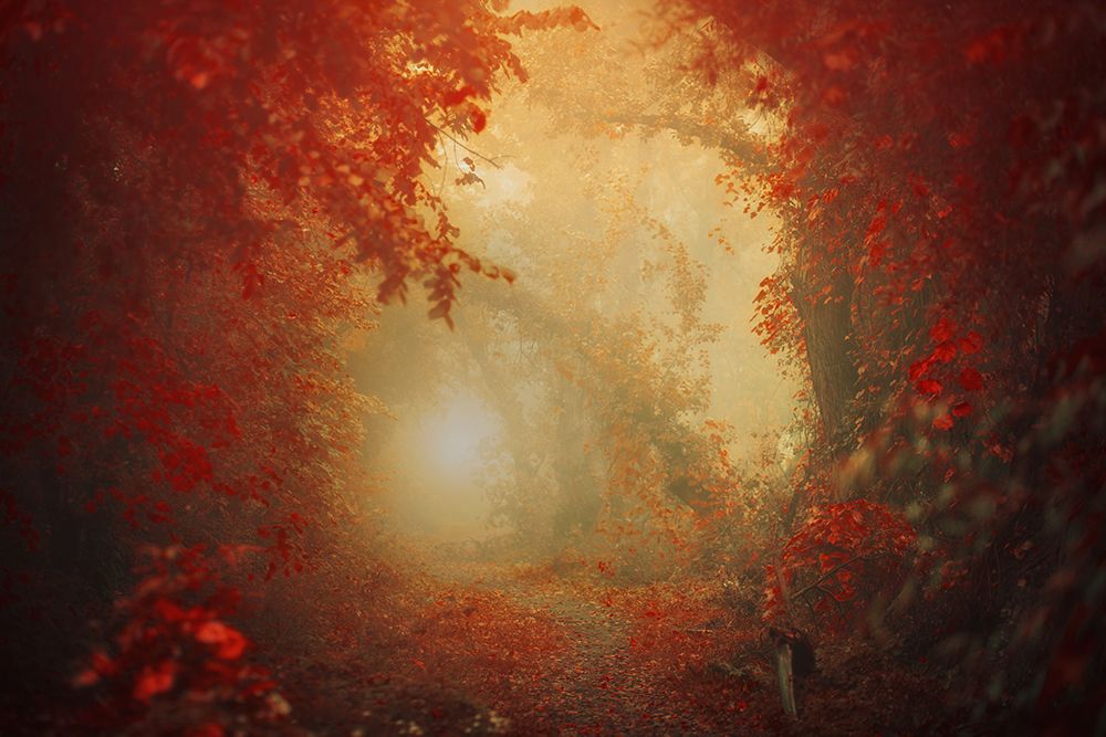 Personal Journey art print by Ildiko Neer for $57.95 CAD