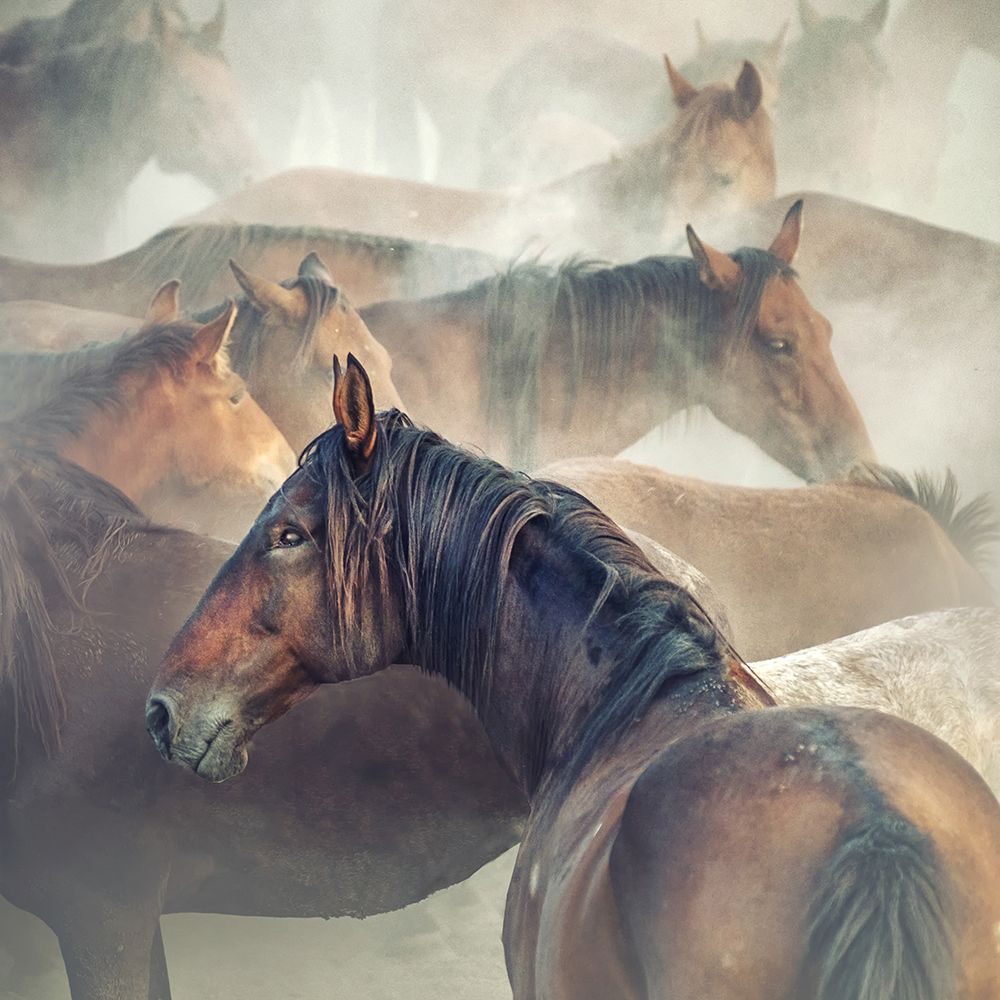 Tired Horses art print by Huseyin Taskin for $57.95 CAD