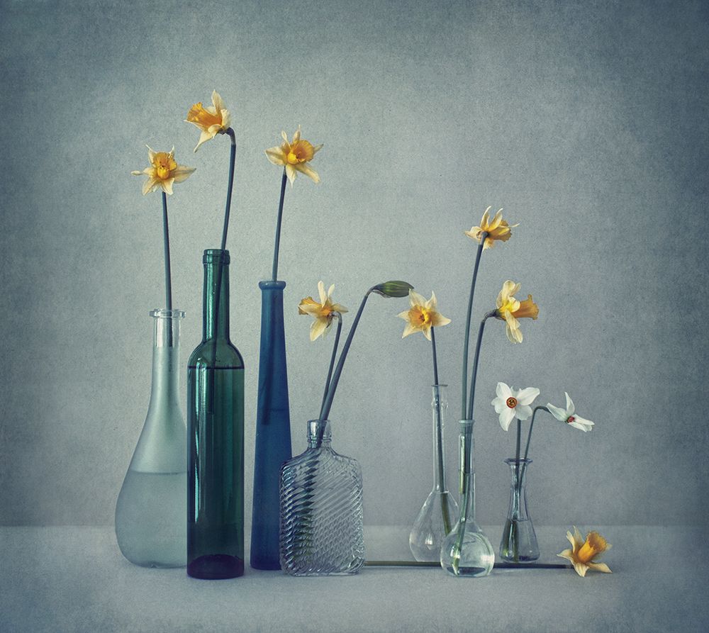 Daffodils art print by Dimitar Lazarov for $57.95 CAD