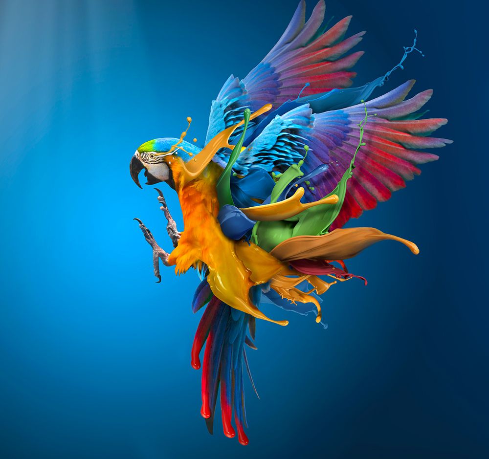 Flying Colours art print by Sulaiman Almawash for $57.95 CAD