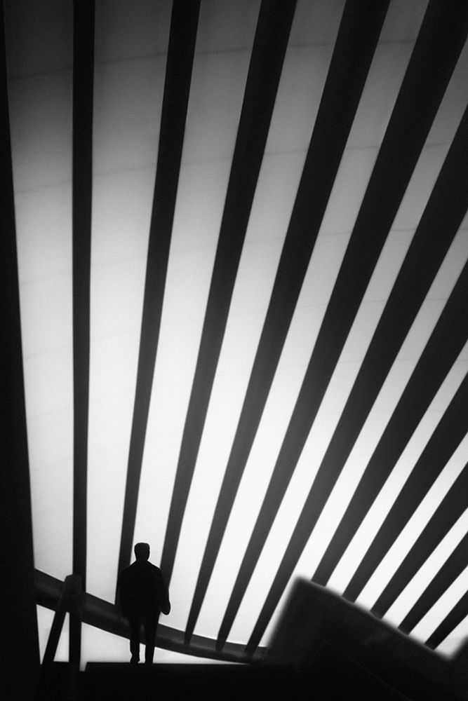 Trails art print by Paulo Abrantes for $57.95 CAD