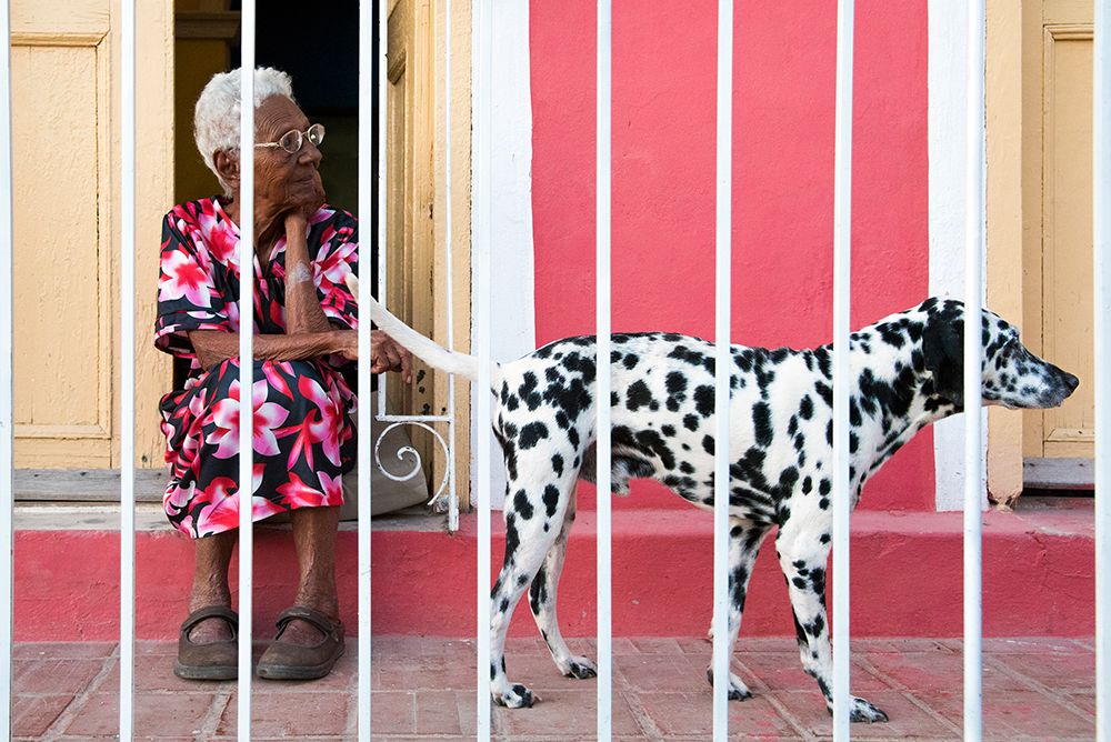 Spotted In Trinidad art print by Linda Wride for $57.95 CAD