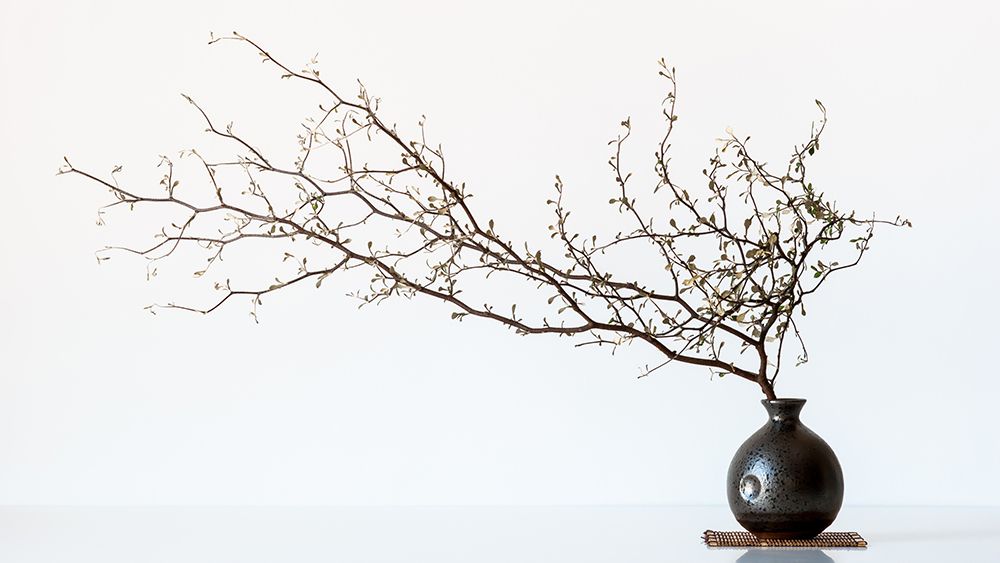 Vase And Branch art print by Prbimages for $57.95 CAD
