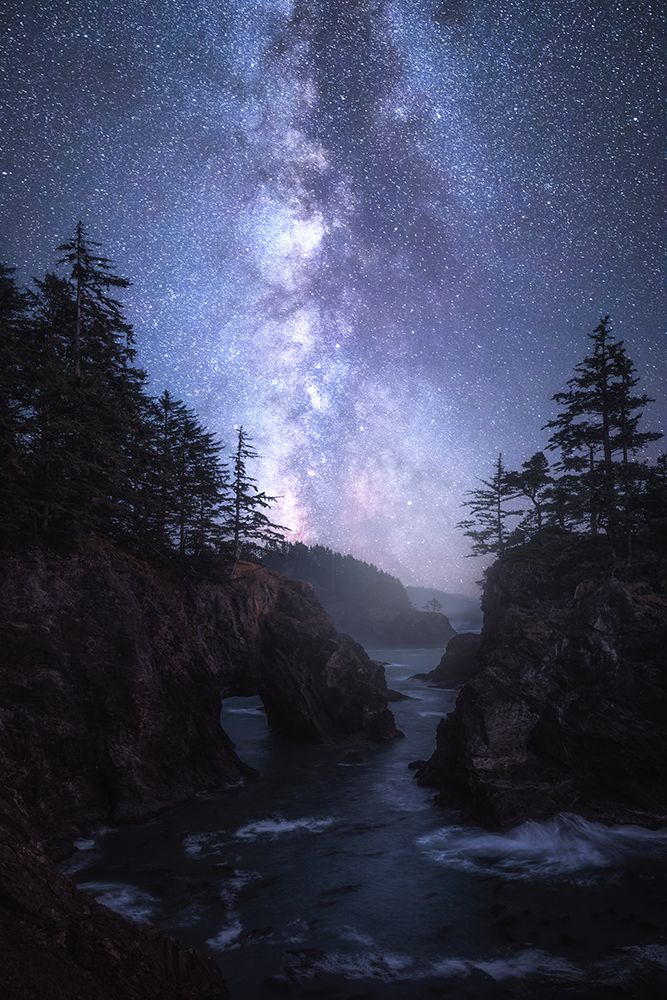 The Coast At Night art print by Daniel Gastager for $57.95 CAD