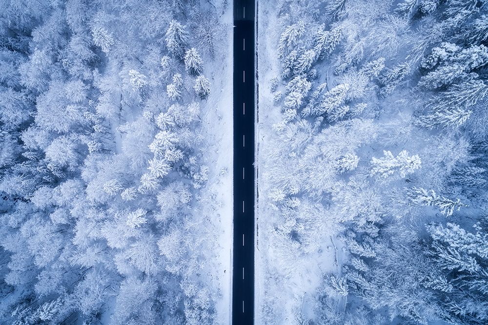 A Frosty Road art print by Daniel Gastager for $57.95 CAD
