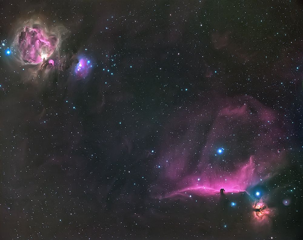Orion Nebula And The Horsehead art print by Andrea Auf Dem for $57.95 CAD