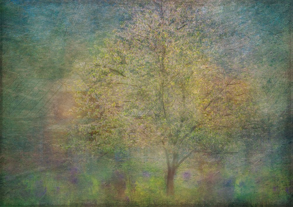 Impressions Of A Tree art print by Katarina Holmstrom for $57.95 CAD