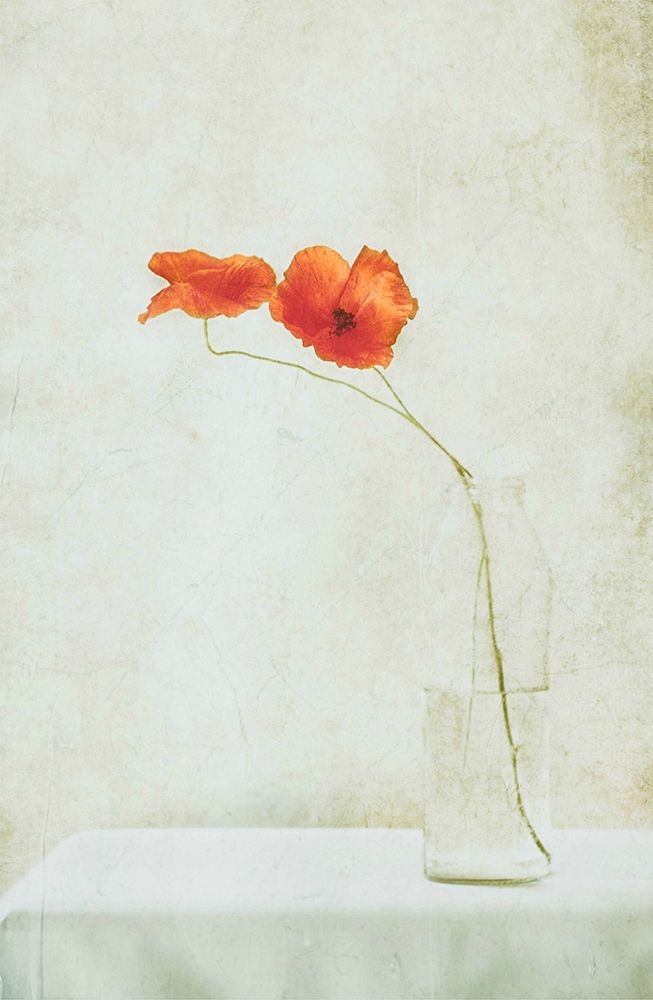 Two Poppies In A Bottle art print by Delphine Devos for $57.95 CAD