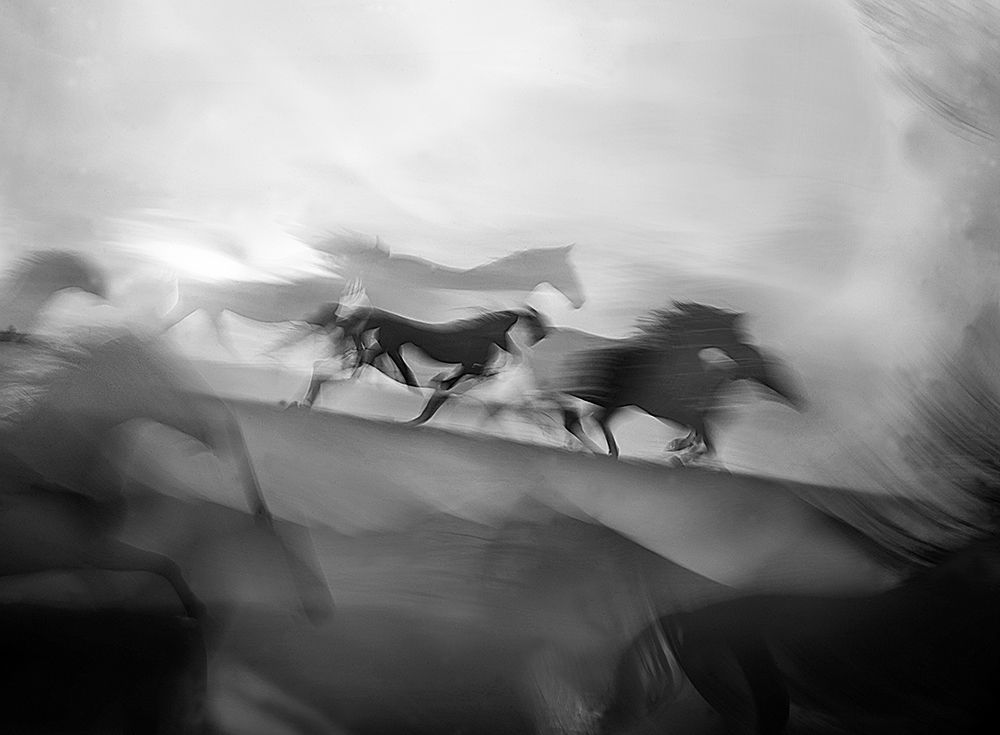 Impressive gallop art print by Milan Malovrh for $57.95 CAD