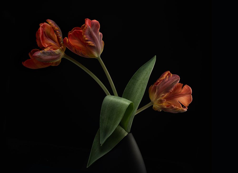 Tulips In Vase art print by Lotte Gronkjar for $57.95 CAD