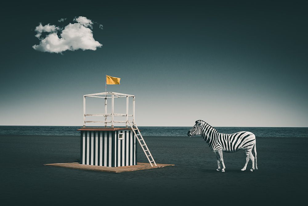 Zebra Style art print by Marcus Hennen for $57.95 CAD