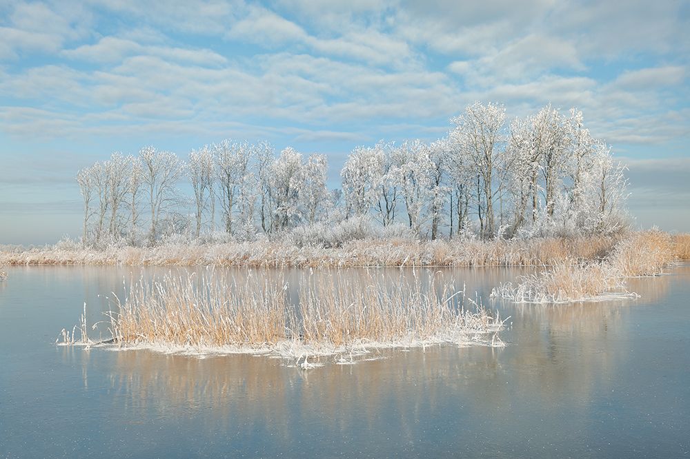 Winter art print by Piet Haaksma for $57.95 CAD