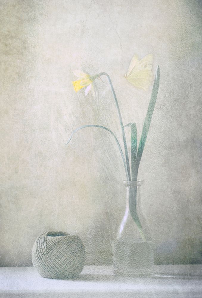 Spring At Home art print by Delphine Devos for $57.95 CAD