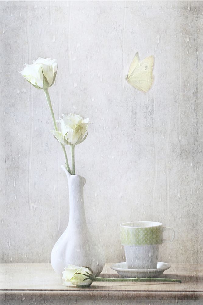 Soft White Petals art print by Delphine Devos for $57.95 CAD