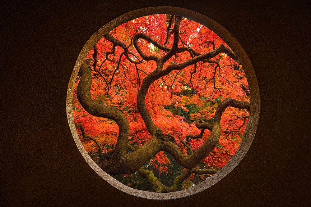 Autumn Sense art print by Tony Xu for $57.95 CAD