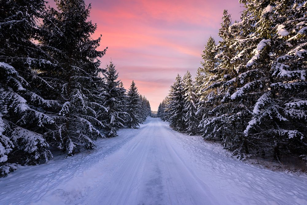 Road Into The Winter Forest art print by Christian Lindsten for $57.95 CAD