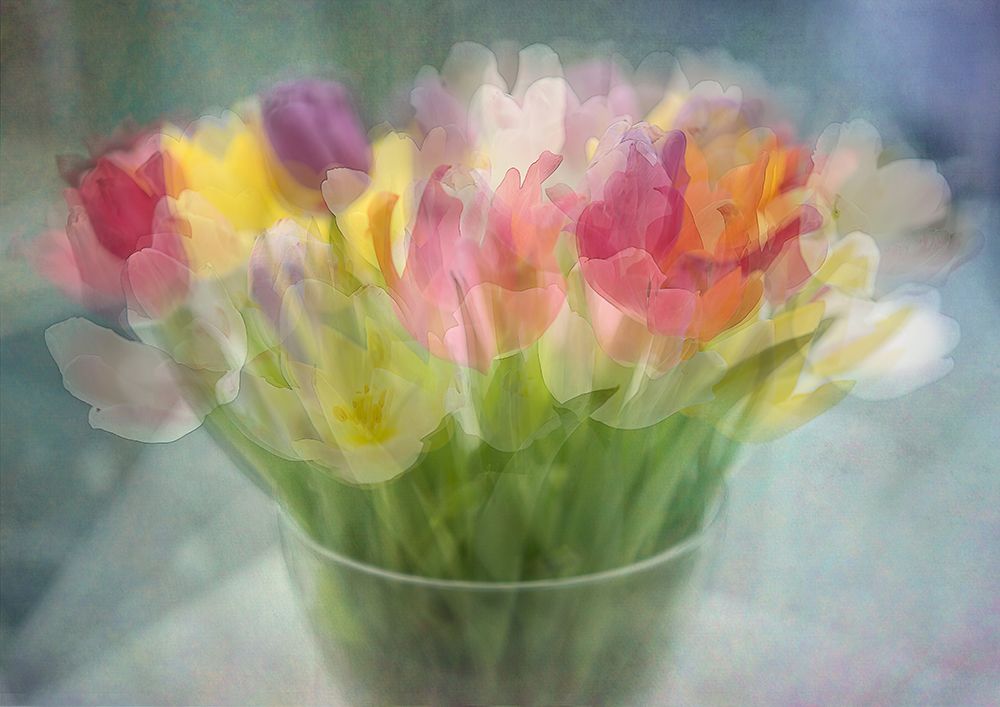 Tulips art print by Katarina Holmstrom for $57.95 CAD