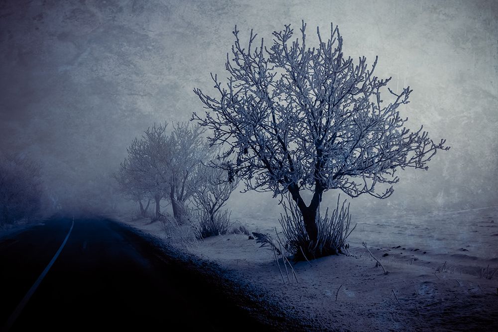 At night foggy art print by Farid Kazamil for $57.95 CAD