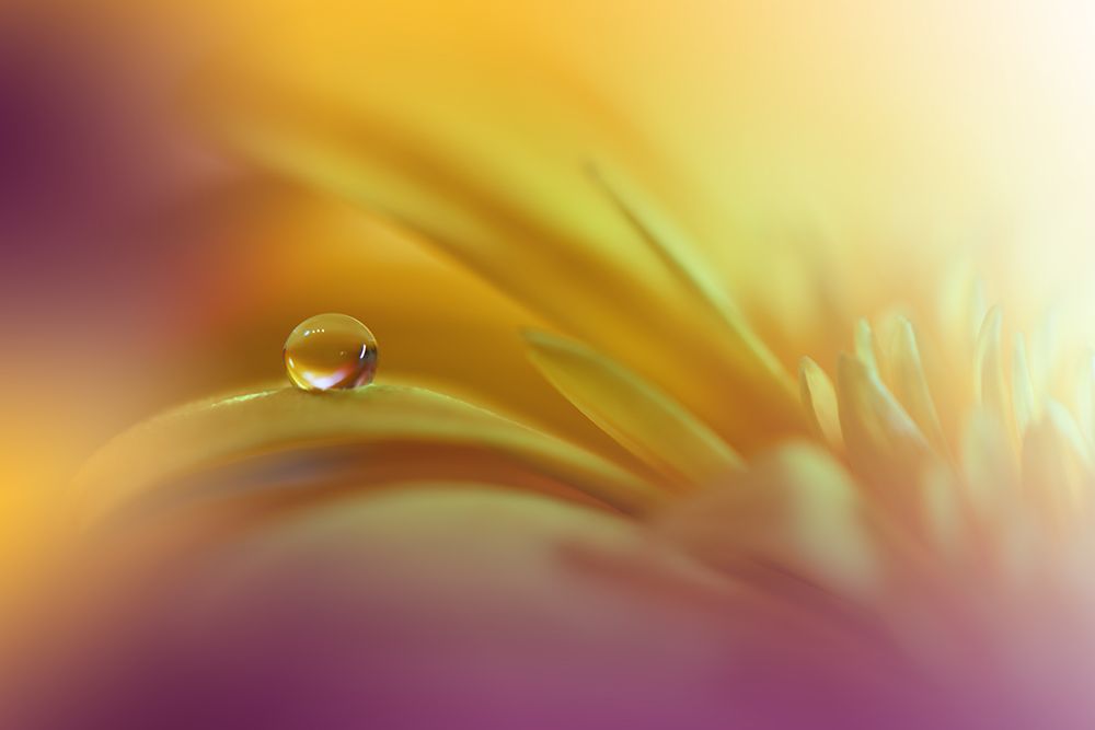 A World Of Color.. art print by Juliana Nan for $57.95 CAD