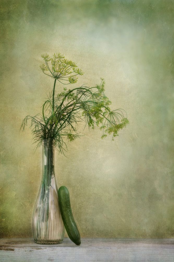 Dill And Cucumber art print by Priska Wettstein for $57.95 CAD