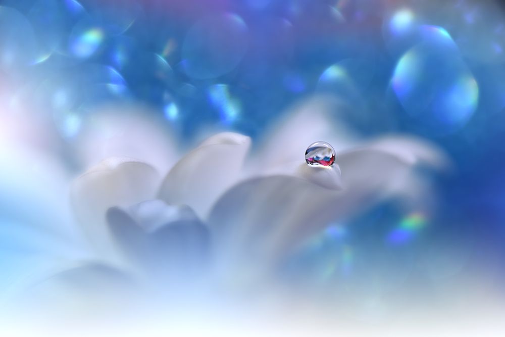 The Song Of The Sea...III art print by Juliana Nan for $57.95 CAD