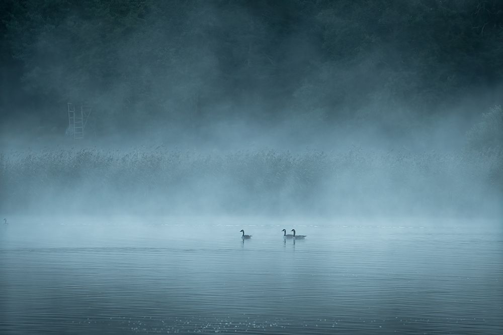 Dark And Foggy Lake art print by Christian Lindsten for $57.95 CAD