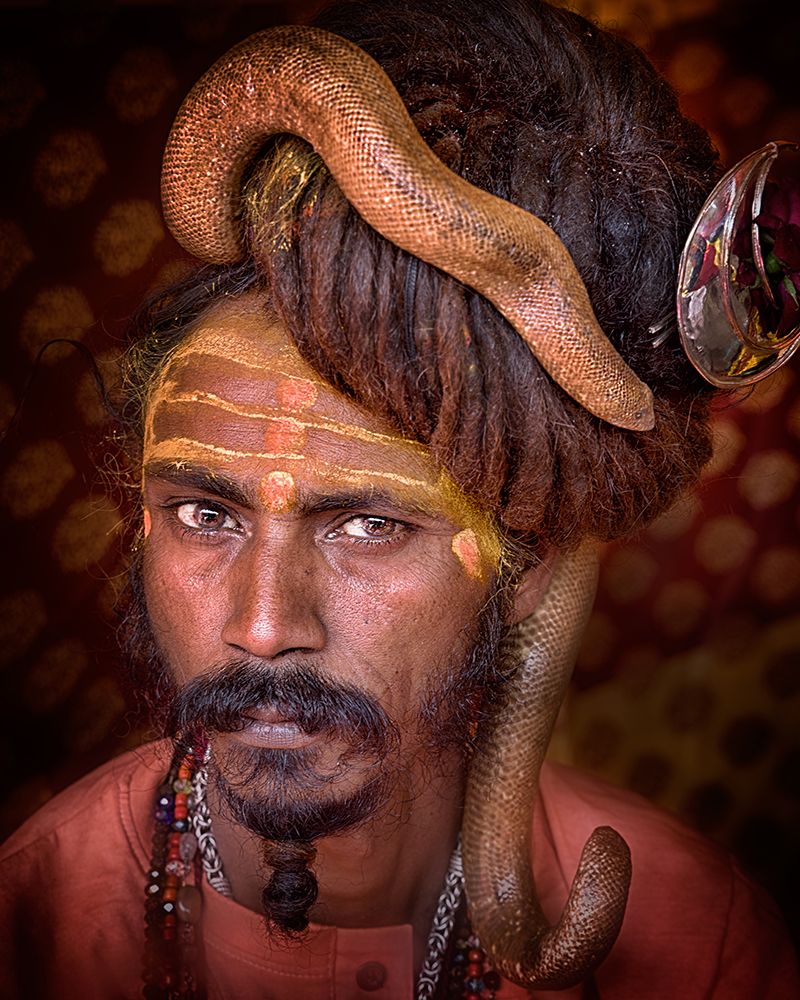 Young Sadhu With A Snake In His Head Of Hair art print by Giovanni Cavalli for $57.95 CAD