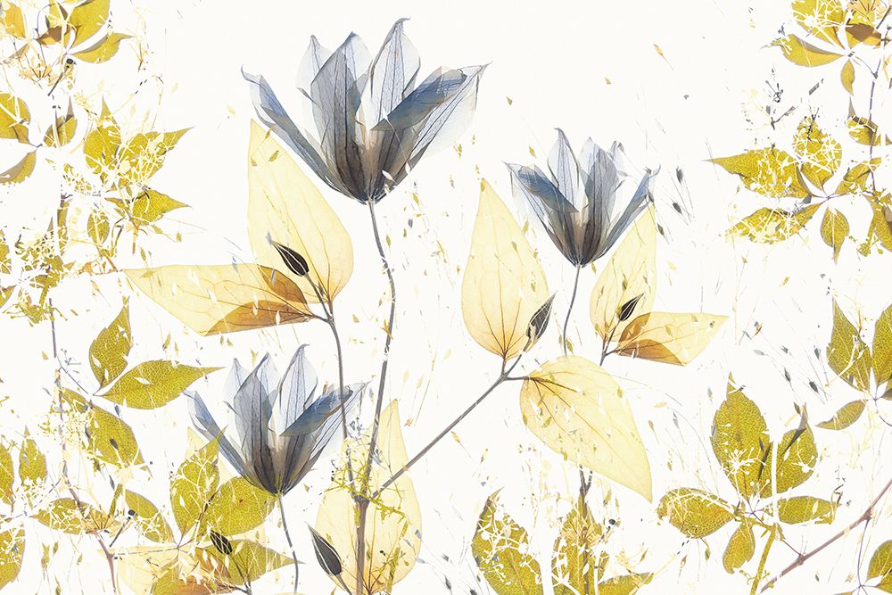 Spring Vibe art print by Nel Talen for $57.95 CAD