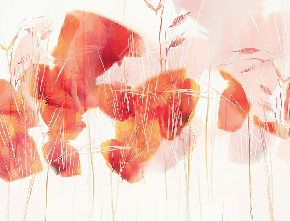 Modern Poppies art print by Nel Talen for $57.95 CAD