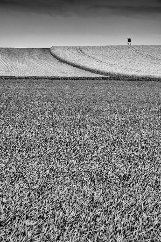 Black A White Fields art print by Milan Malovrh for $57.95 CAD