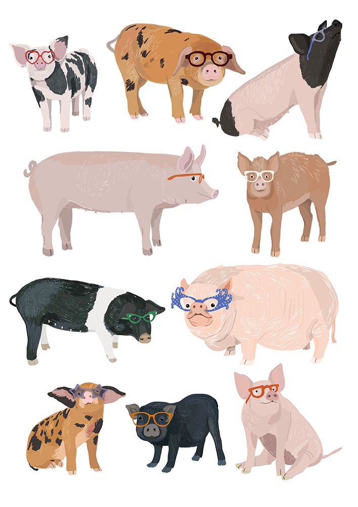Pigs Glasses art print by Hanna Melin for $57.95 CAD