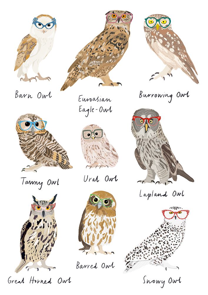 Owls In Glasses Print art print by Hanna Melin for $57.95 CAD