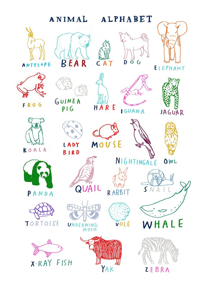 Animal Alphabet art print by Hanna Melin for $57.95 CAD