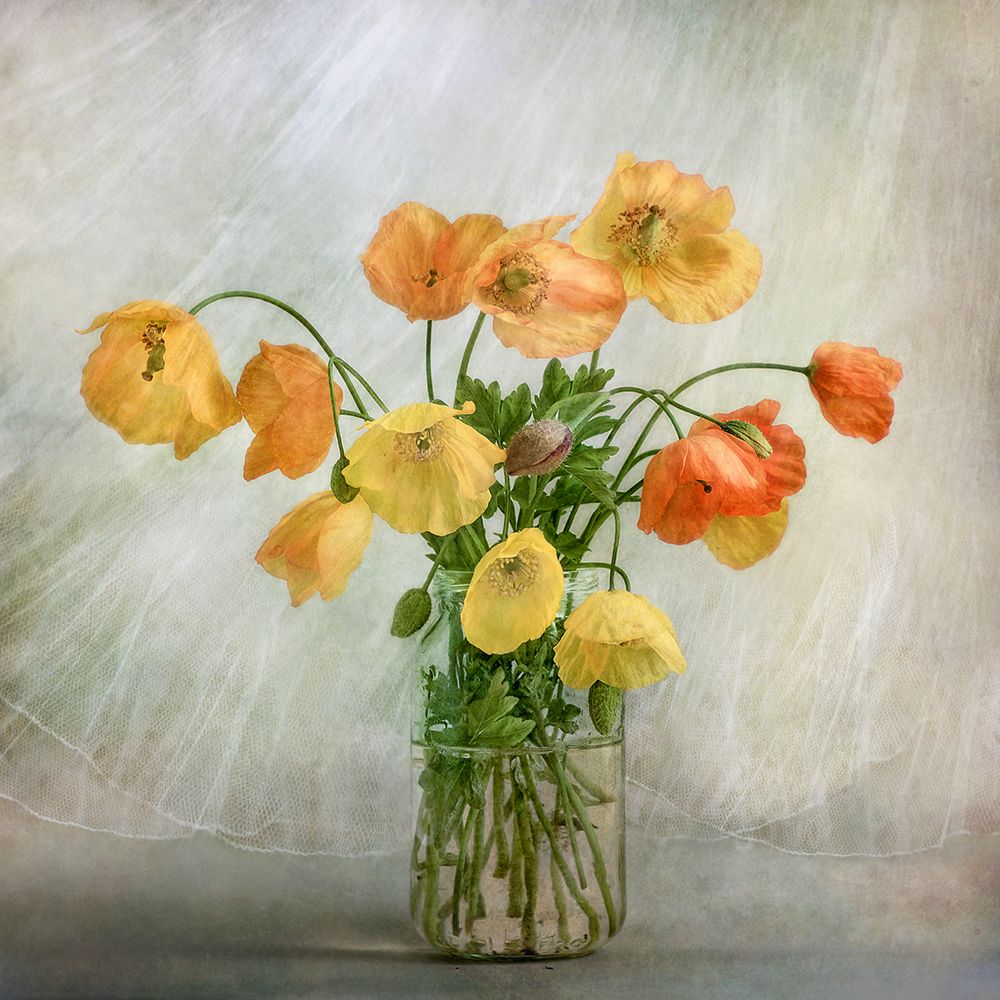 In The Window art print by Mandy Disher for $57.95 CAD