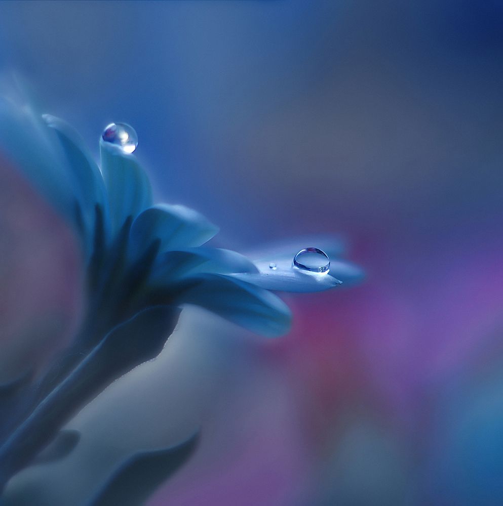 Beyond Mind And Heart... art print by Juliana Nan for $57.95 CAD
