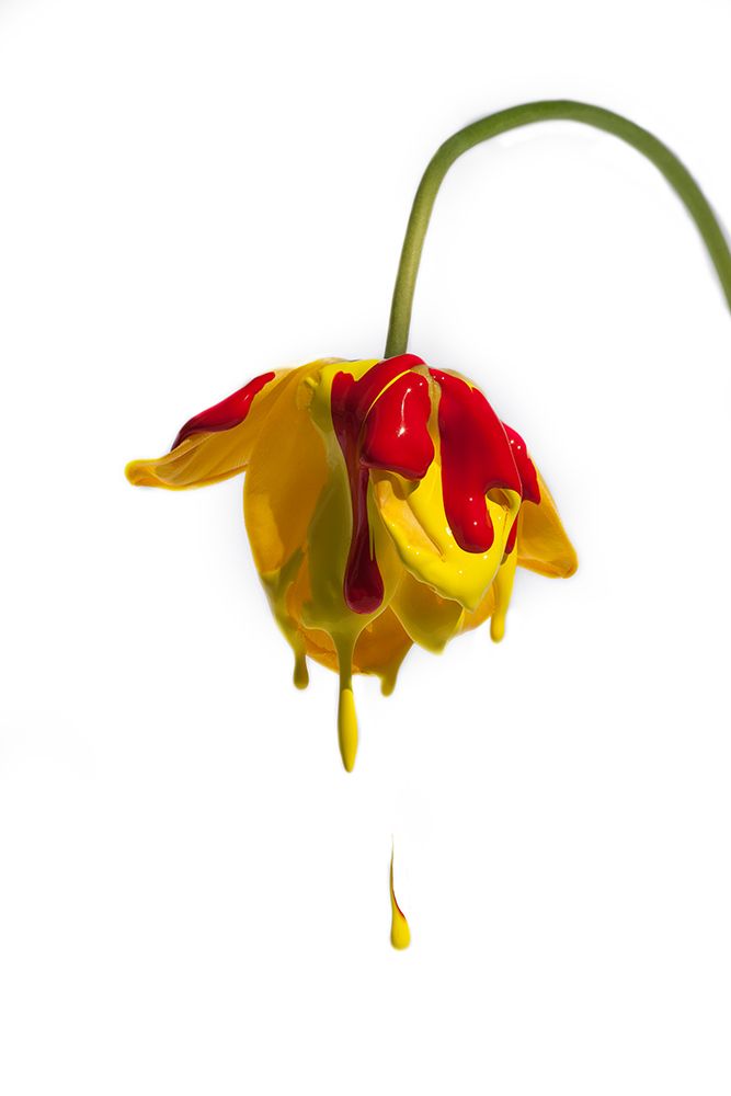 Crying Flower art print by Kent Mathiesen for $57.95 CAD