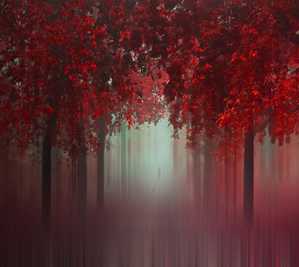 Out Of Love art print by Ildiko Neer for $57.95 CAD