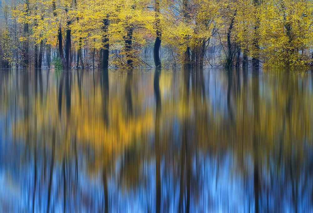 Yellow Reflection art print by Ales Komovec for $57.95 CAD