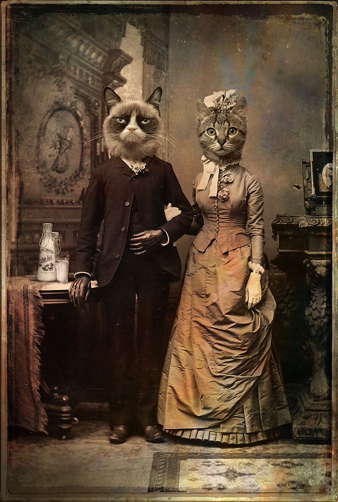 Cat Couple art print by DDiArte for $57.95 CAD