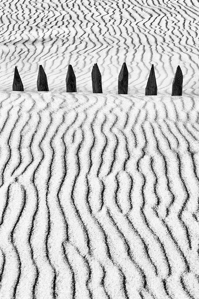 Little Silver Silence art print by Paulo Abrantes for $57.95 CAD