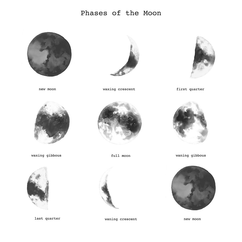 PHASES OF THE MOON art print by Atelier B Art Studio for $57.95 CAD