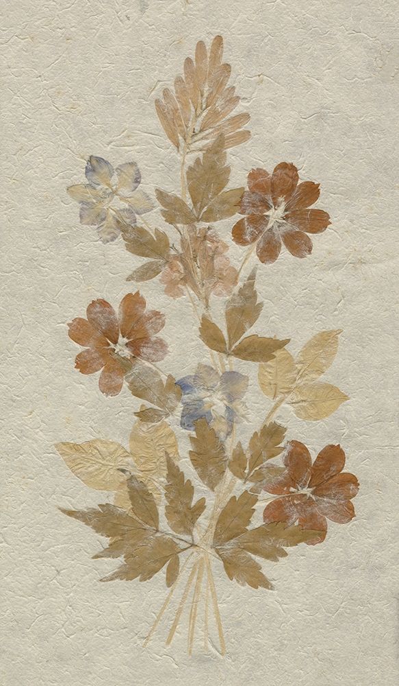 Delicate Dried Flowers arrangement on rice paper  art print by anonymous for $57.95 CAD